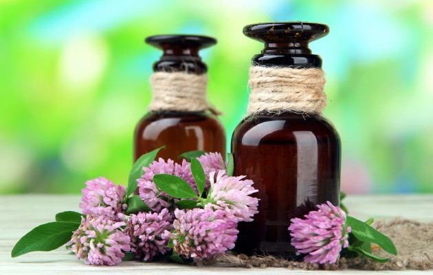 The Science Behind Aromatherapy: Nose to Brain Connection